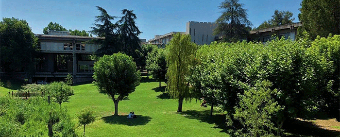 西班牙大學(xué)